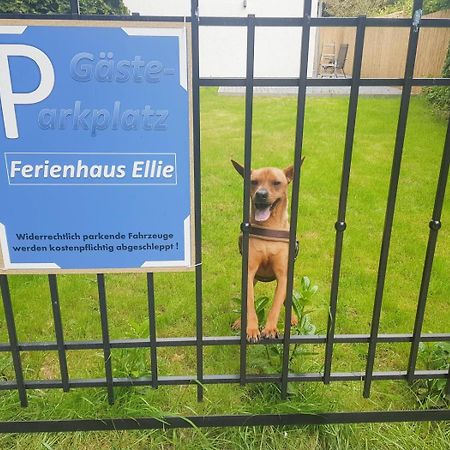 Ferienhaus Ellie Haffkrug Exteriör bild