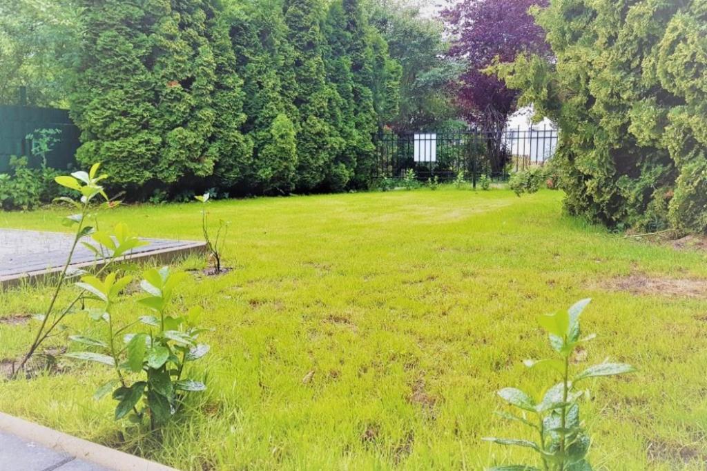 Ferienhaus Ellie Haffkrug Exteriör bild